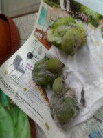 /album/galeria-de-fotos/a30052012940-5-jpg/