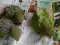 /album/galeria-de-fotos/a30052012941-jpg1/