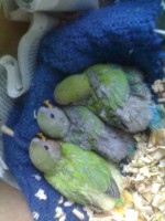 /album/galeria-de-fotos/a30052012943-jpg1/