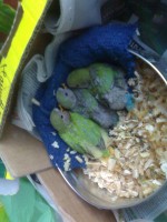 /album/galeria-de-fotos/a30052012944-jpg/